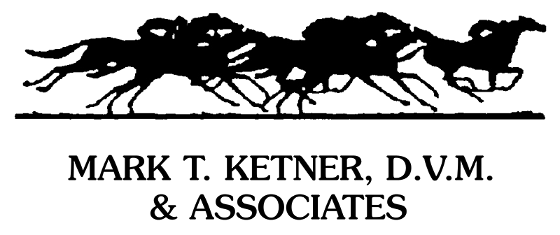 Mark T Ketner DVM & Associates